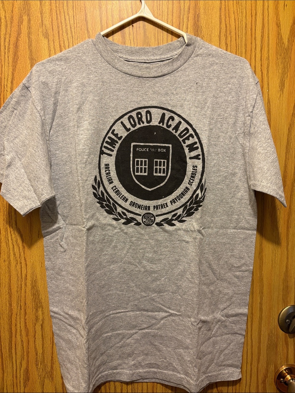 Doctor Who Time Lord Academy Gray Graphic T‑Shirt